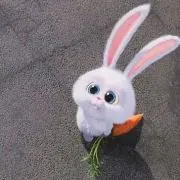 ルーシーの画像