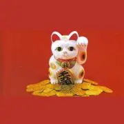 Babo_mouri