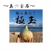 １０１農園(淡路島玉ねぎ農家)の画像