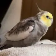 Taky.プロフ必読