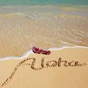 aloha_coco26の画像