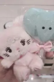 LOLOの画像