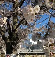 甲斐キャイ〜ンの画像