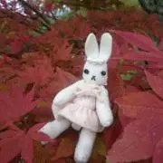 リユースガーデン恵の画像