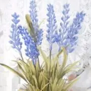 gentle day