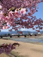 user_e0bbcdc6の画像