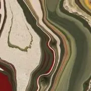 25の画像