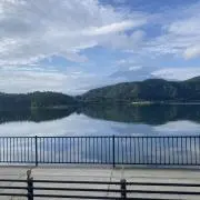 あんずの画像