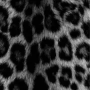 grrrrの画像