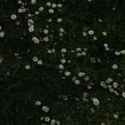 ♡の画像