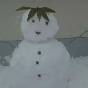 PONの画像