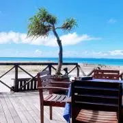 Momoの画像
