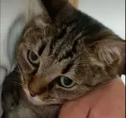 古山冬佳