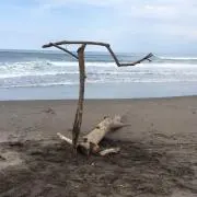 スーパーサブ