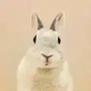 ＊ai＊.....＊プロフ必読＊の画像