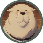 haruの画像