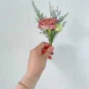 Miiの画像