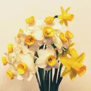 おっきゅう※プロフィール必読の画像
