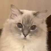 masacocoの画像