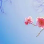 りなこ。