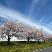 Sirius24