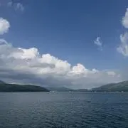 おちびの画像