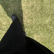 ichiの画像