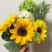 Nの画像