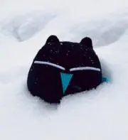椚の画像