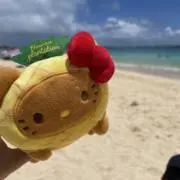 あーさんの画像