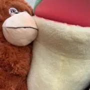 聖の画像