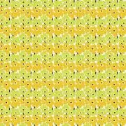 no.555の画像