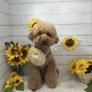 ちぃ