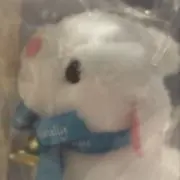ゆめじの画像