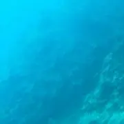 パリパリ