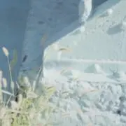*秋⭐︎の画像