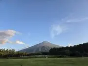 TAZMANの画像