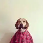 グレン