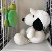 うお