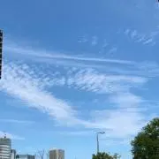 りんごの画像