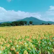 とももの画像