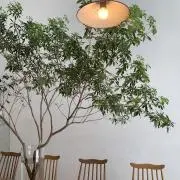 まるせの画像