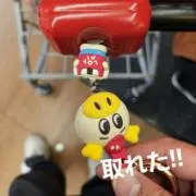 たぬきの画像