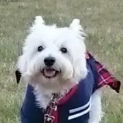 ももらぶ