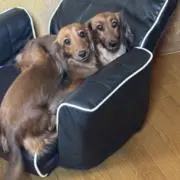 ⭐︎アニャティナ⭐︎