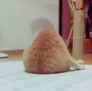 aの画像