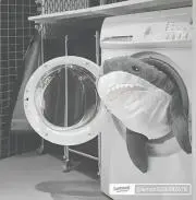 ゆーの画像
