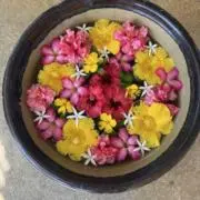 Alison2525の画像