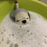 Nonの画像