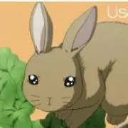 ゆかこ☆プロフ必読の画像